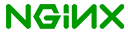 NGINX logo grupo 33 holdings